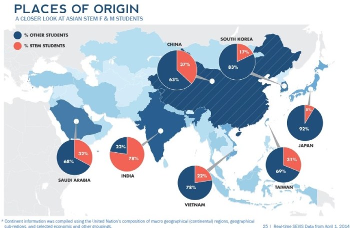 Asian STEM F & M Students