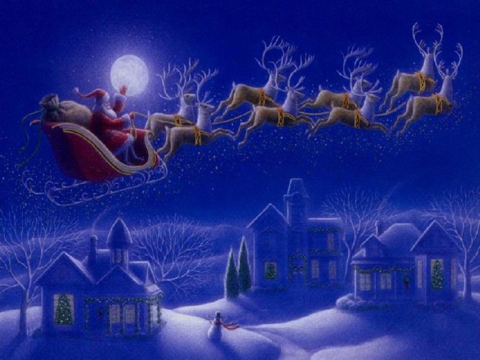 santa and his sleigh