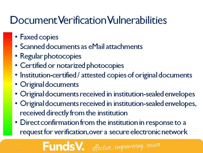 Document Verification Vulnerabilities