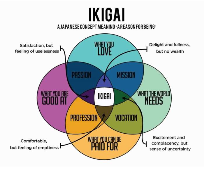 ikigai image