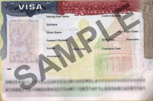 sample visa