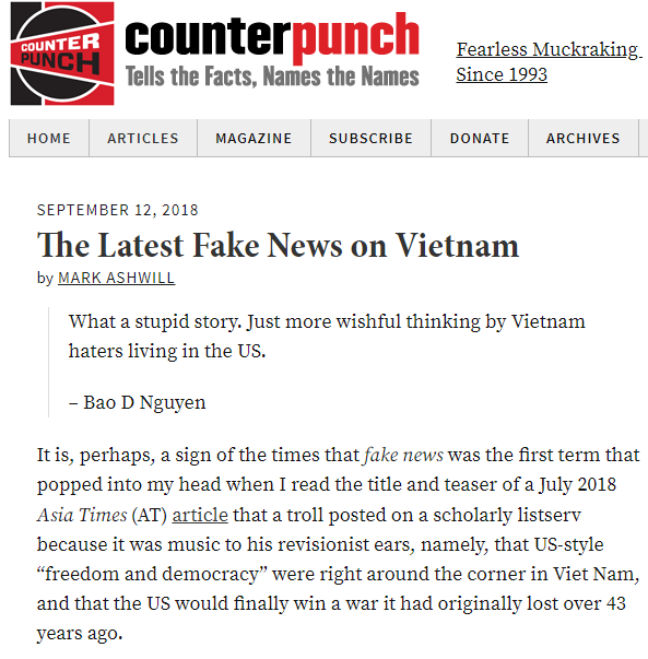fake news vn
