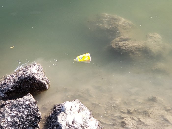 plastic bottle in ha long bay